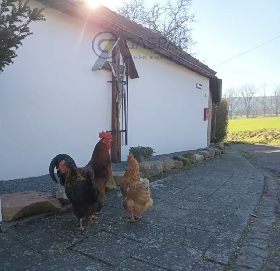 Stra�enseite Einfamilienhaus H�rtgenwald