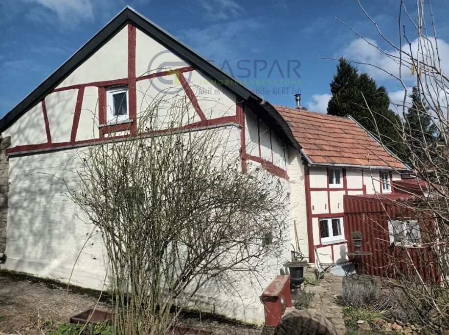 Haus Seitenansicht Einfamilienhaus H�rtgenwald