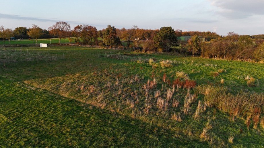 dji_fly_20241031_162542_0197_1730793455673_photo Sonstiges H�rtgenwald