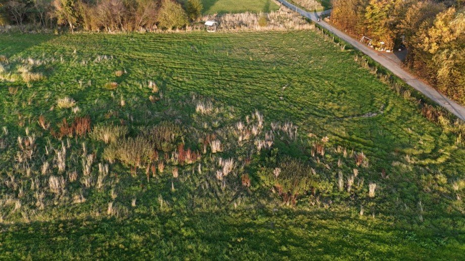 dji_fly_20241031_162032_0175_1730793507517_photo Wohngrundst�ck H�rtgenwald