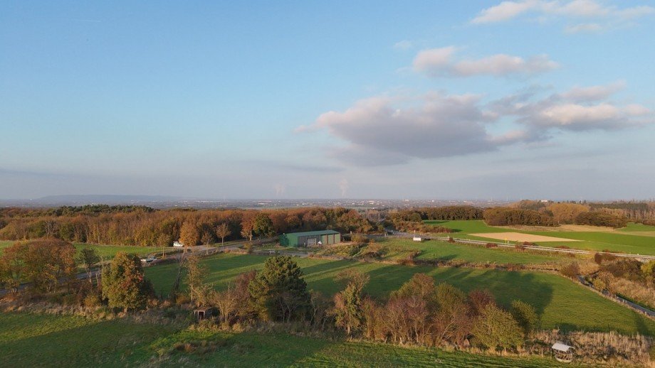 dji_fly_20241031_162248_0188_1730793474997_photo Sonstiges H�rtgenwald