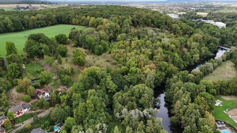 dji_fly_20260904_144518_0117_1788806984413_photo Einfamilienhaus Kreuzau