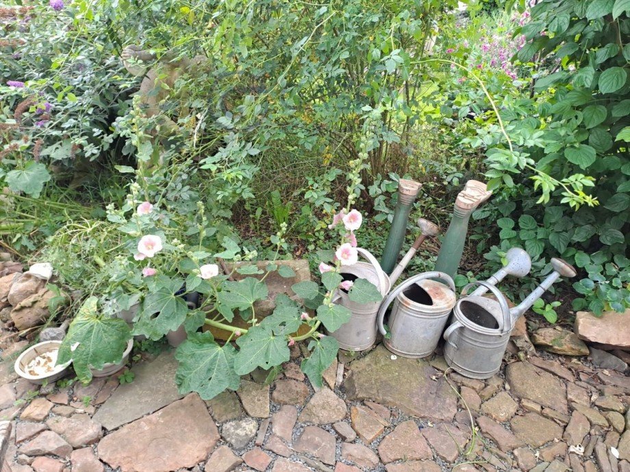 Gartenbereich Einfamilienhaus H�rtgenwald