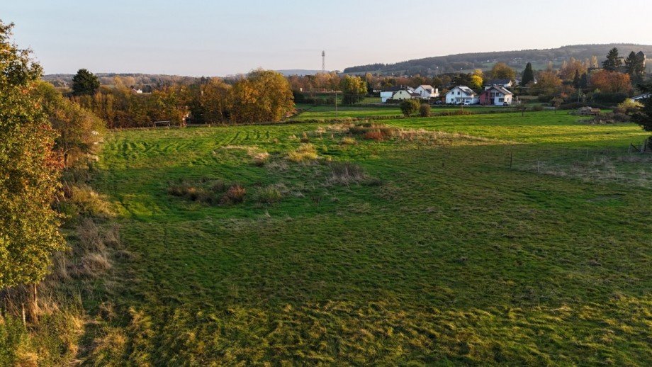 dji_fly_20241031_162640_0203_1730793447954_photo Wohngrundst�ck H�rtgenwald