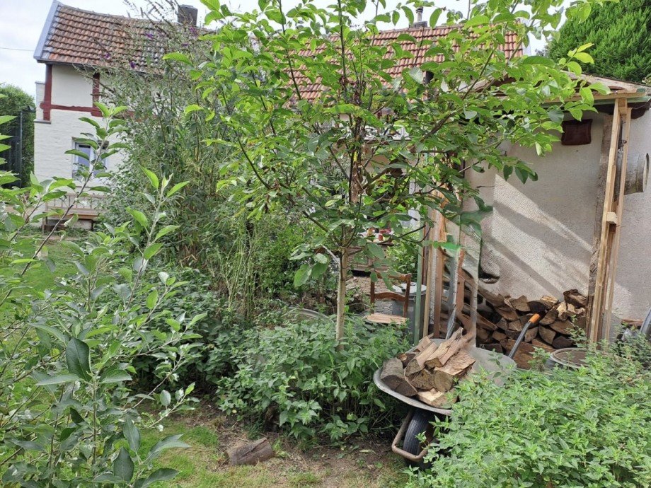 Garten Einfamilienhaus H�rtgenwald