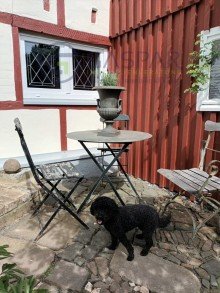 Sitzecke In diesem urigen H�uschen in H�rtgenwald werden Sie sich definitv wohlf�hlen