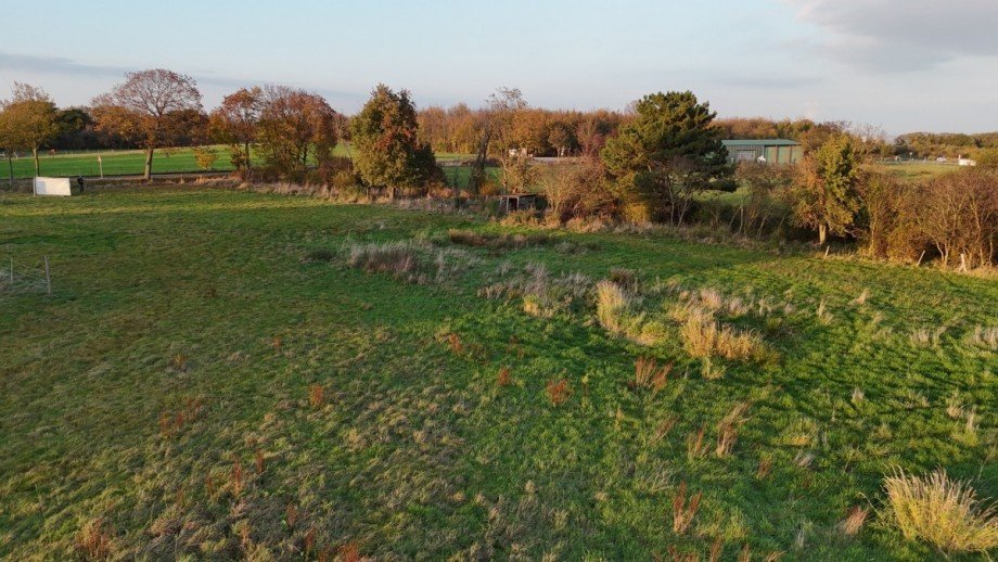 dji_fly_20241031_162548_0198_1730793456003_photo Wohngrundst�ck H�rtgenwald