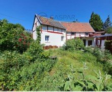 Garten In diesem urigen H�uschen in H�rtgenwald werden Sie sich definitv wohlf�hlen