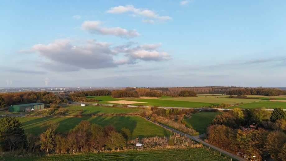 dji_fly_20241031_162246_0187_1730793475238_photo Sonstiges H�rtgenwald
