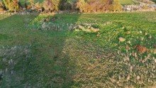 dji_fly_20241031_162106_0179_1730793476308_photo Baugrundst�ck Einfamilienhaus - Wohnen in H�rtgenwald dem Tor zur Eifel