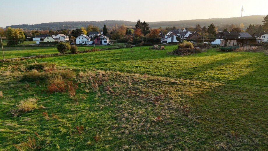 dji_fly_20241031_162604_0201_1730793453619_photo Sonstiges H�rtgenwald