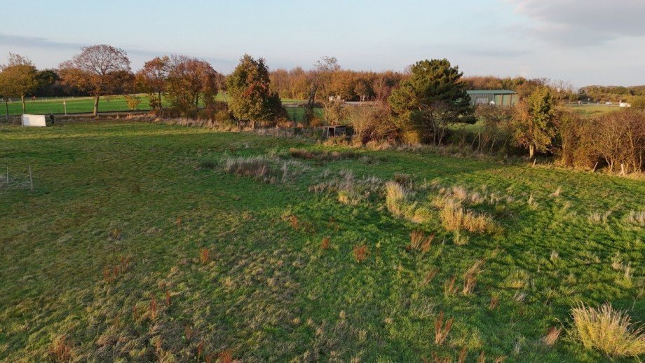 dji_fly_20241031_162548_0198_1730793456003_photo Wohngrundst�ck H�rtgenwald